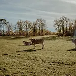 Дом отдыха Chez Philippe Parenthese En Campagne Touffailles