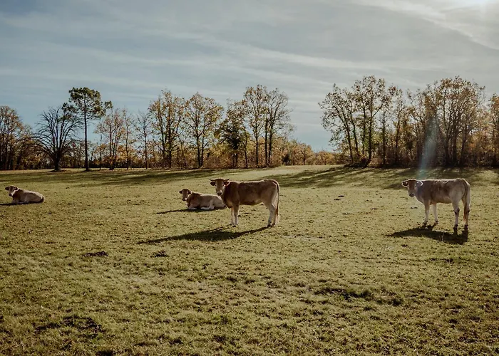 Дом отдыха Chez Philippe Parenthese En Campagne Touffailles